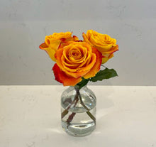 Load image into Gallery viewer, Glass Bud Vases (set of 3)