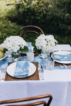 Load image into Gallery viewer, French Riviera Napkins (set of 2)