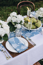 Load image into Gallery viewer, French Riviera Napkins (set of 2)
