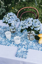 Load image into Gallery viewer, Amalfi Coast Napkins (set of 2)