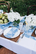 Load image into Gallery viewer, French Riviera Napkins (set of 2)
